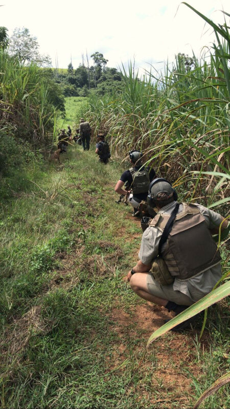 In the sugarcane fields