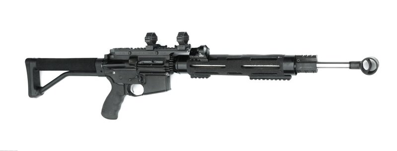 DPMS.jpg